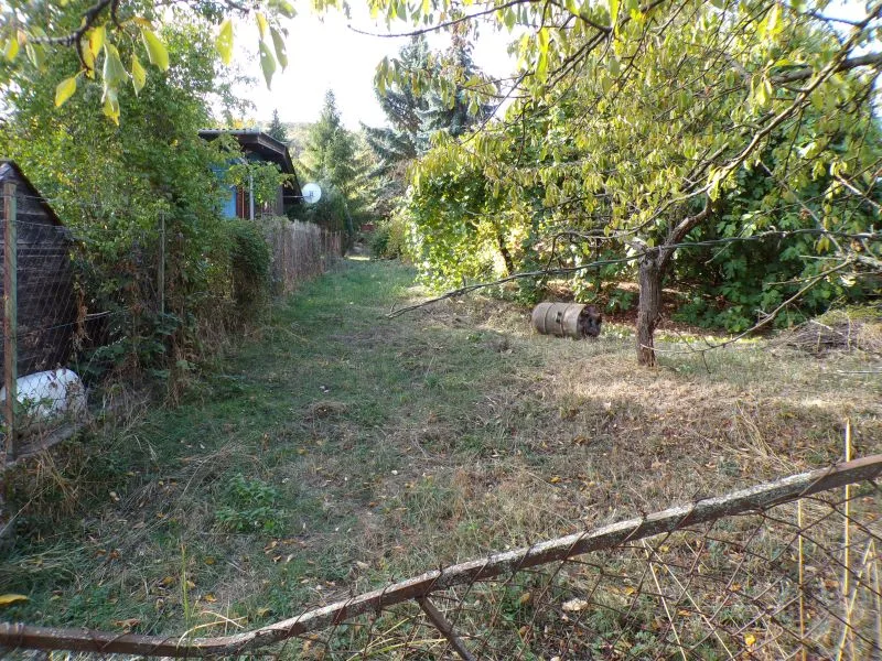 RITKA LEHETŐSÉG A DUNAKANYARBAN! SÍK, 1536 M²-ES TELEK ÉRVÉNYES KIVONÁSI ENGEDÉLLYEL ÉS KÖZMŰSZOLGALOMMAL DUNABOGDÁNYBAN! - Kép 10