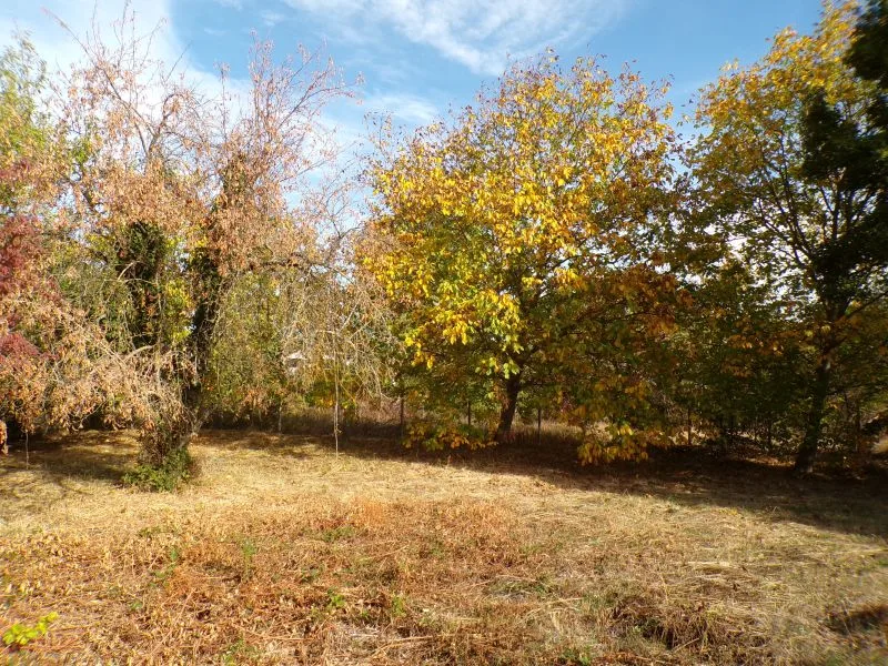 RITKA LEHETŐSÉG A DUNAKANYARBAN! SÍK, 1536 M²-ES TELEK ÉRVÉNYES KIVONÁSI ENGEDÉLLYEL ÉS KÖZMŰSZOLGALOMMAL DUNABOGDÁNYBAN! - Kép 13