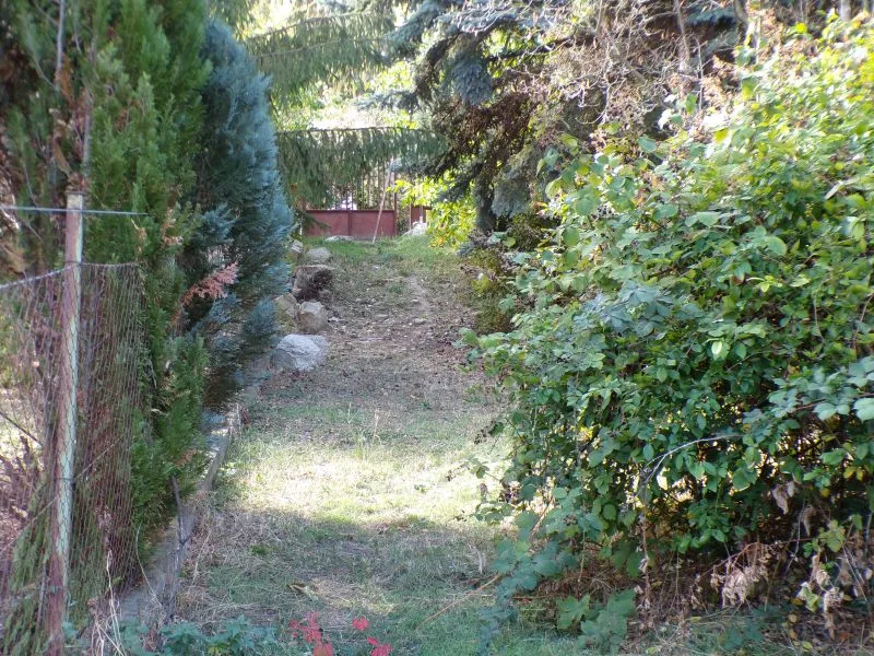RITKA LEHETŐSÉG A DUNAKANYARBAN! SÍK, 1536 M²-ES TELEK ÉRVÉNYES KIVONÁSI ENGEDÉLLYEL ÉS KÖZMŰSZOLGALOMMAL DUNABOGDÁNYBAN! - Kép 9