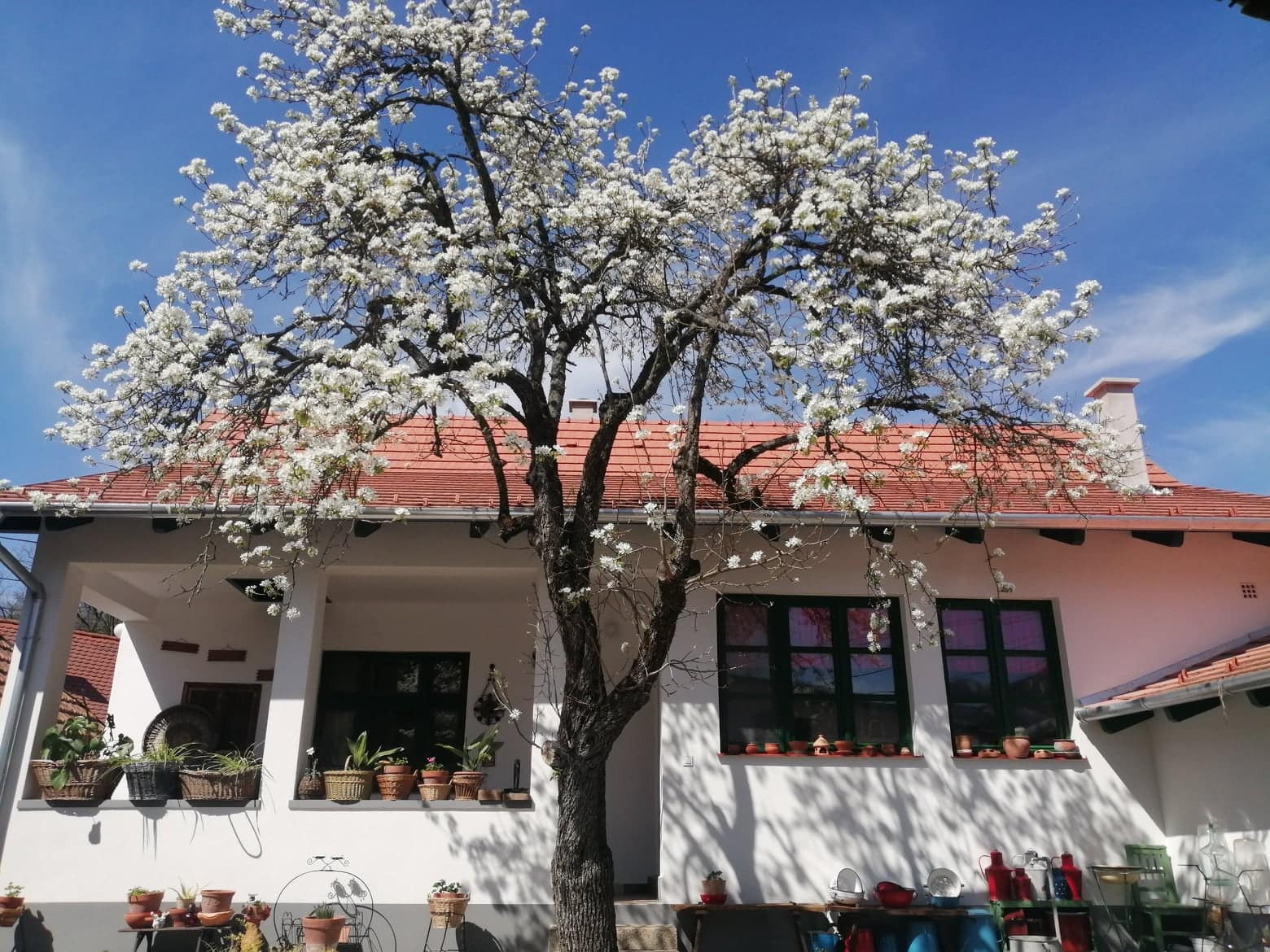 Egyedi ajánlat Visegrád központjában: Felújított családi ház + 2 különálló épület (üzleti lehetőséggel) - Kép 2