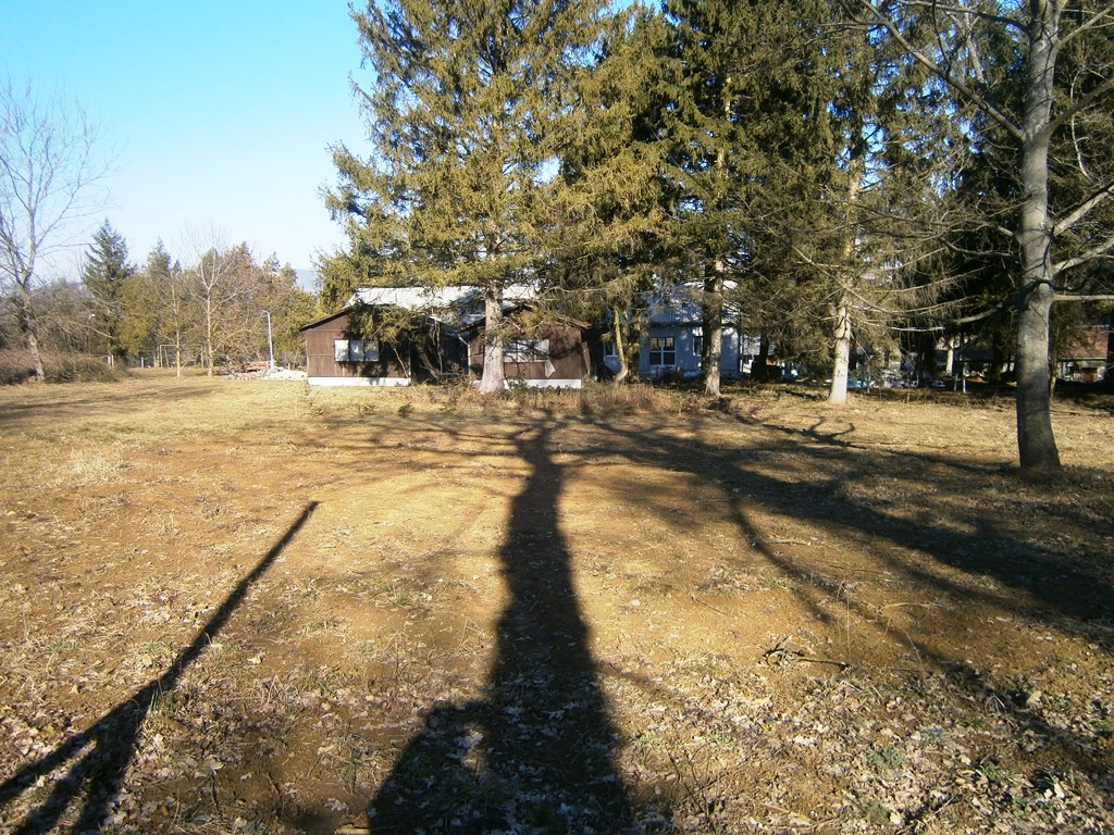 Történelmi kúriabirtok és építési telkek Tahitótfaluban – 1,5 hektáros panorámás terület a Dunakanyarban - Kép 8
