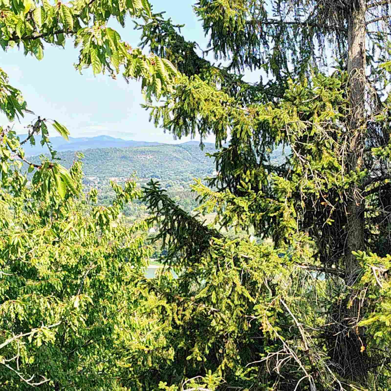 Dunabogdányi panorámás faház – 100 lépés a nyugalomhoz, intim menedék a Duna felett - Kép 26