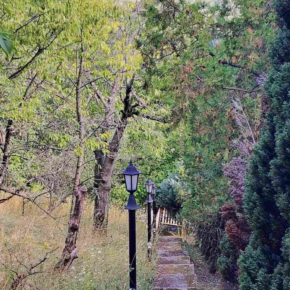 Dunabogdányi panorámás faház – 100 lépés a nyugalomhoz, intim menedék a Duna felett - Kép 5