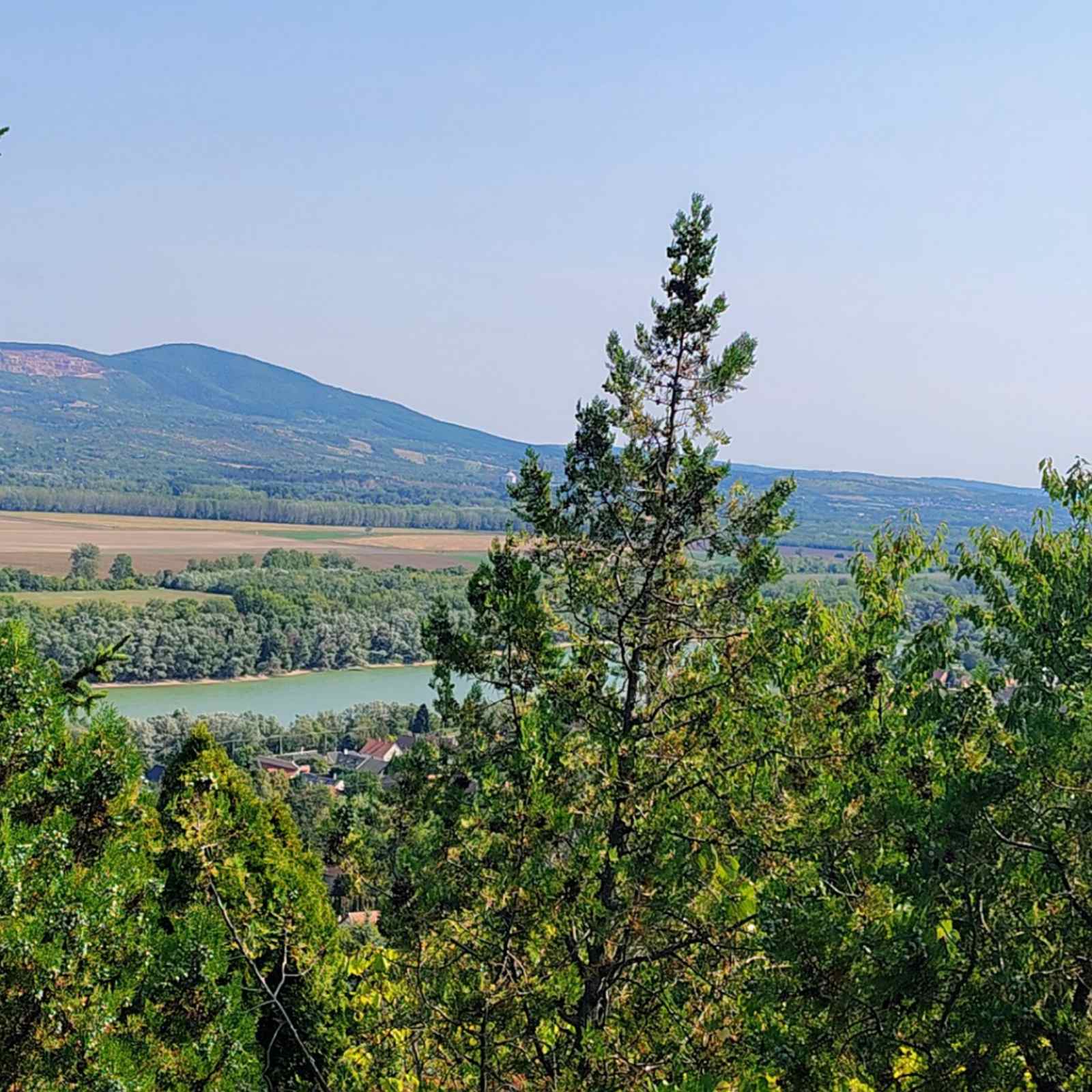 Dunabogdányi panorámás faház – 100 lépés a nyugalomhoz, intim menedék a Duna felett - Kép 6
