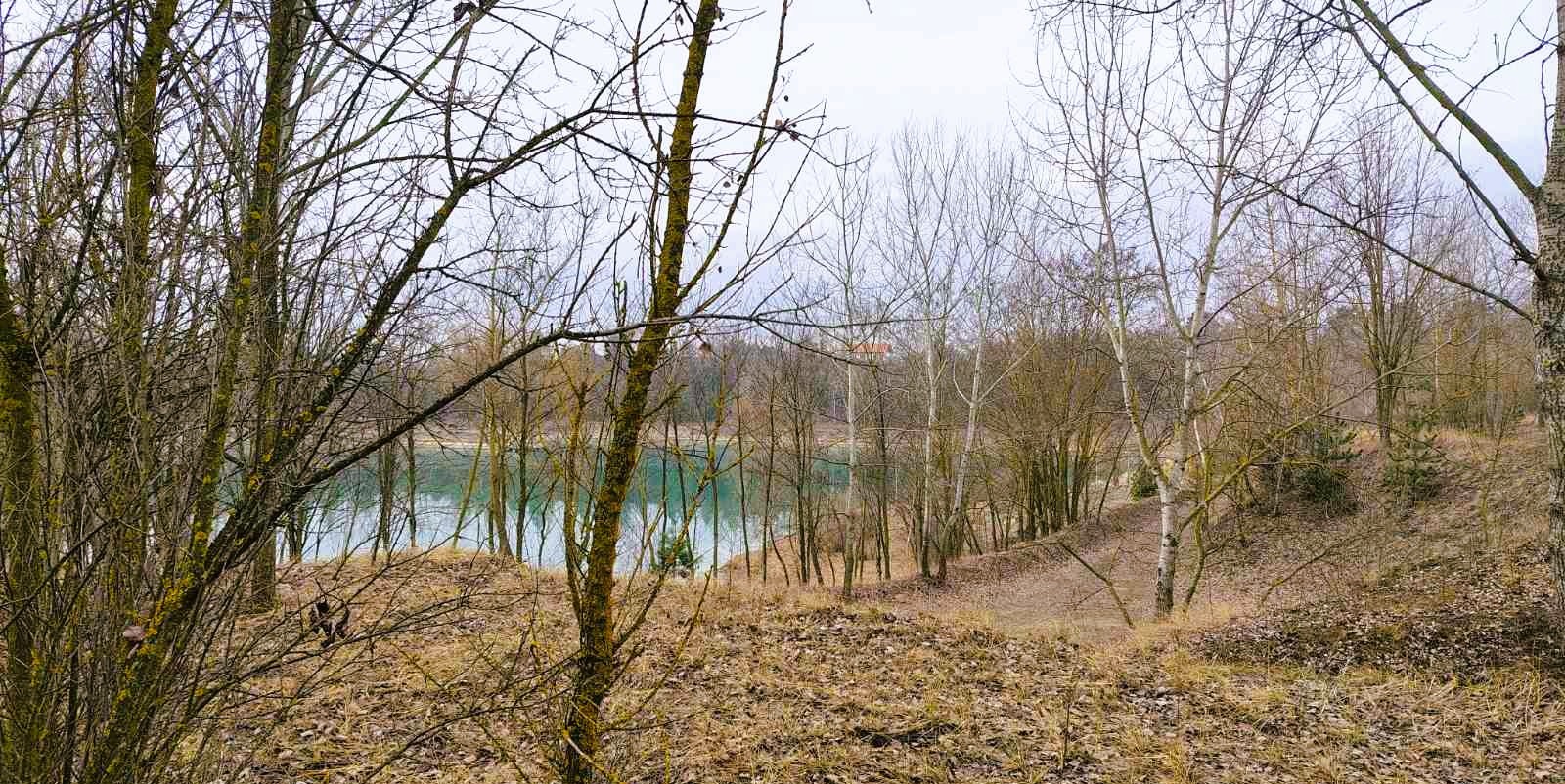 Építési telek Pócsmegyer-Surányban: 902 m², 50%-os beépíthetőséggel, tóparti hangulattal - Kép 6