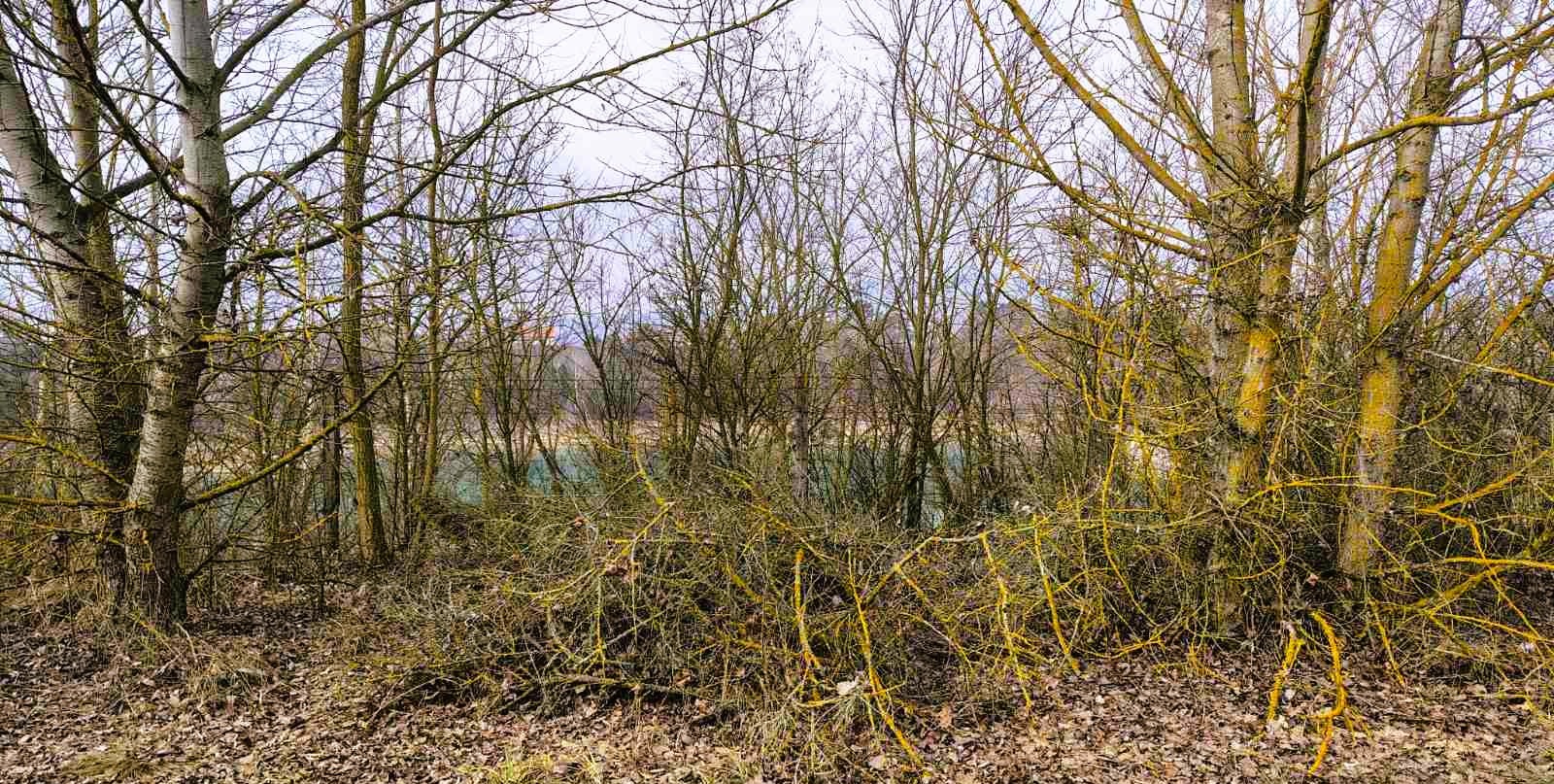 Építési telek Pócsmegyer-Surányban: 902 m², 50%-os beépíthetőséggel, tóparti hangulattal - Kép 10
