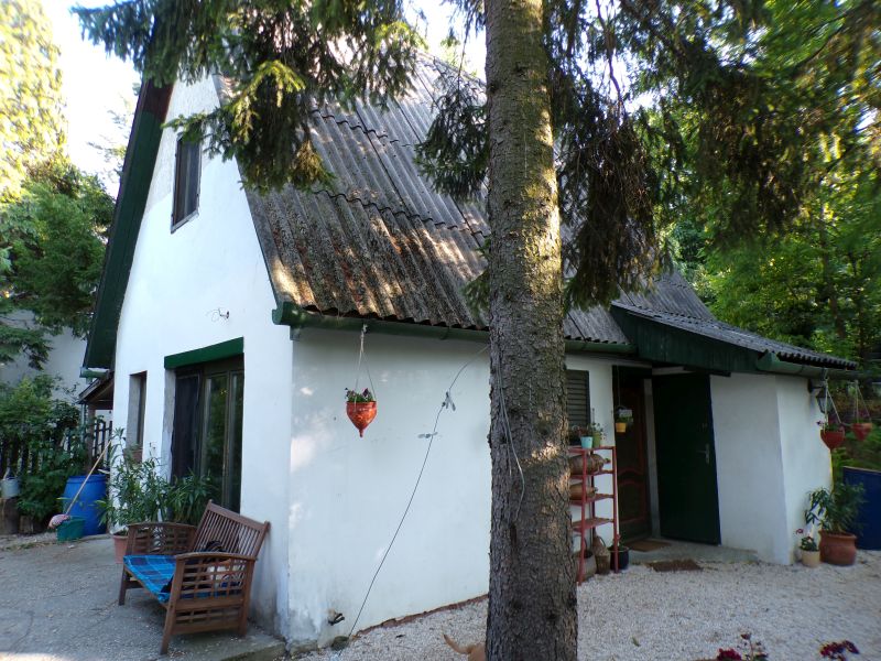 Panorámás családi ház Tahitótfaluban – 300 m²-es beépítési lehetőséggel, lakóház státuszban - Kép 23