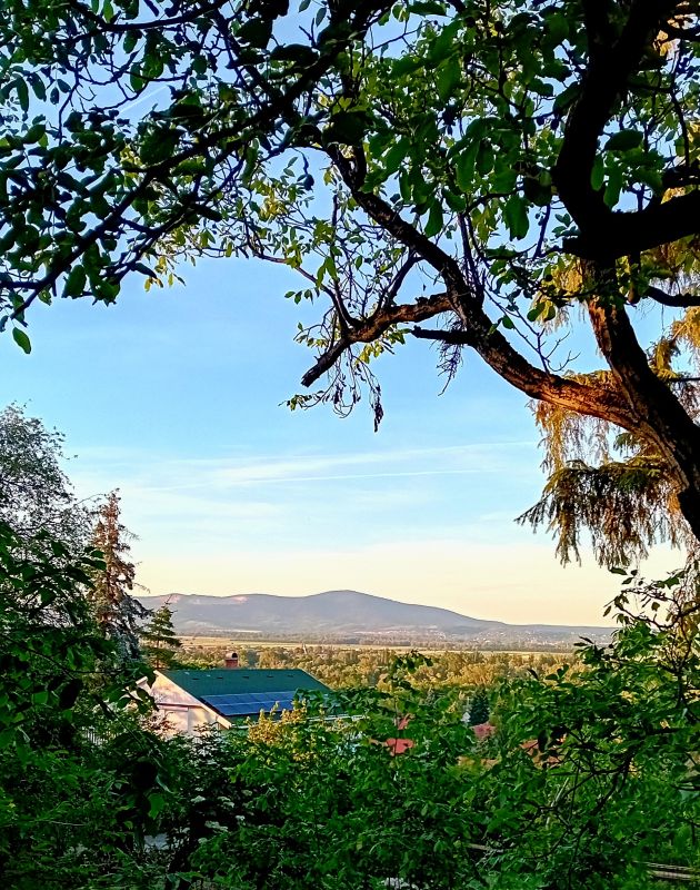 Panorámás családi ház Tahitótfaluban – 300 m²-es beépítési lehetőséggel, lakóház státuszban - Kép 26