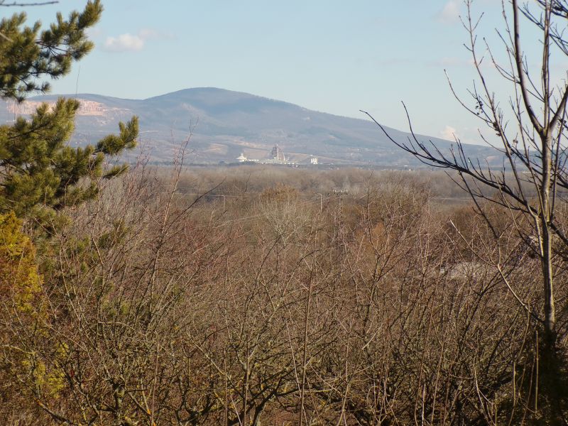 Panorámás telek Dunabogdányban – Tanyás beépítési lehetőséggel az Öreg szőlő közelében - Kép 11