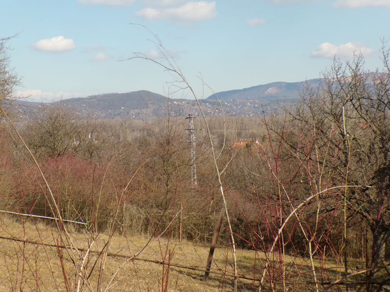 Panorámás telek Dunabogdányban – Tanyás beépítési lehetőséggel az Öreg szőlő közelében - Kép 20