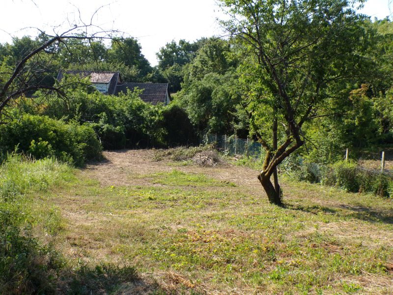 2061 m²-es Prémium Birtok Dunabogdányban – Patakparti terület, tanyás beépítési lehetőséggel - Kép 11