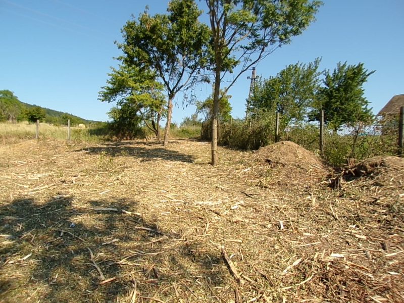 2061 m²-es Prémium Birtok Dunabogdányban – Patakparti terület, tanyás beépítési lehetőséggel - Kép 16