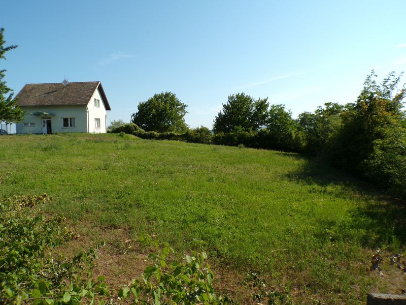 2061 m²-es Prémium Birtok Dunabogdányban – Patakparti terület, tanyás beépítési lehetőséggel - Kép 18