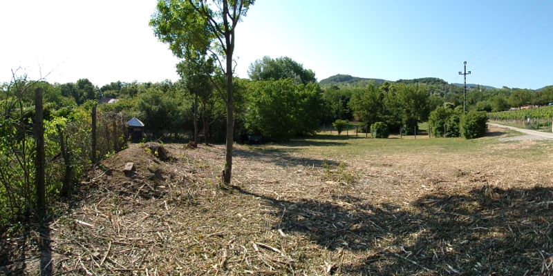 2061 m²-es Prémium Birtok Dunabogdányban – Patakparti terület, tanyás beépítési lehetőséggel - Kép 19