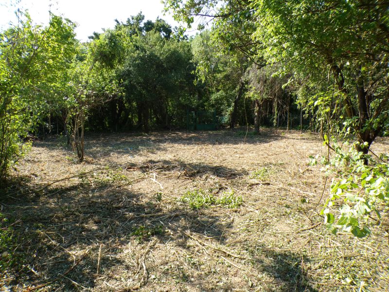 2061 m²-es Prémium Birtok Dunabogdányban – Patakparti terület, tanyás beépítési lehetőséggel - Kép 5