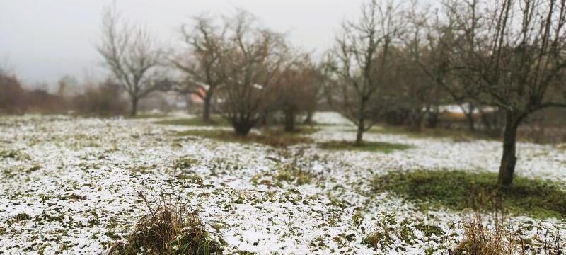 Panorámás építési telek eladó Dunabogdányban – Csendes, kertvárosi övezet, kiváló infrastruktúra - Kép 16
