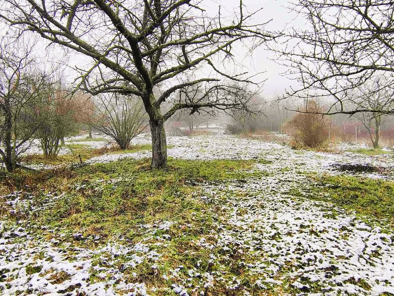 Panorámás építési telek eladó Dunabogdányban – Csendes, kertvárosi övezet, kiváló infrastruktúra - Kép 6
